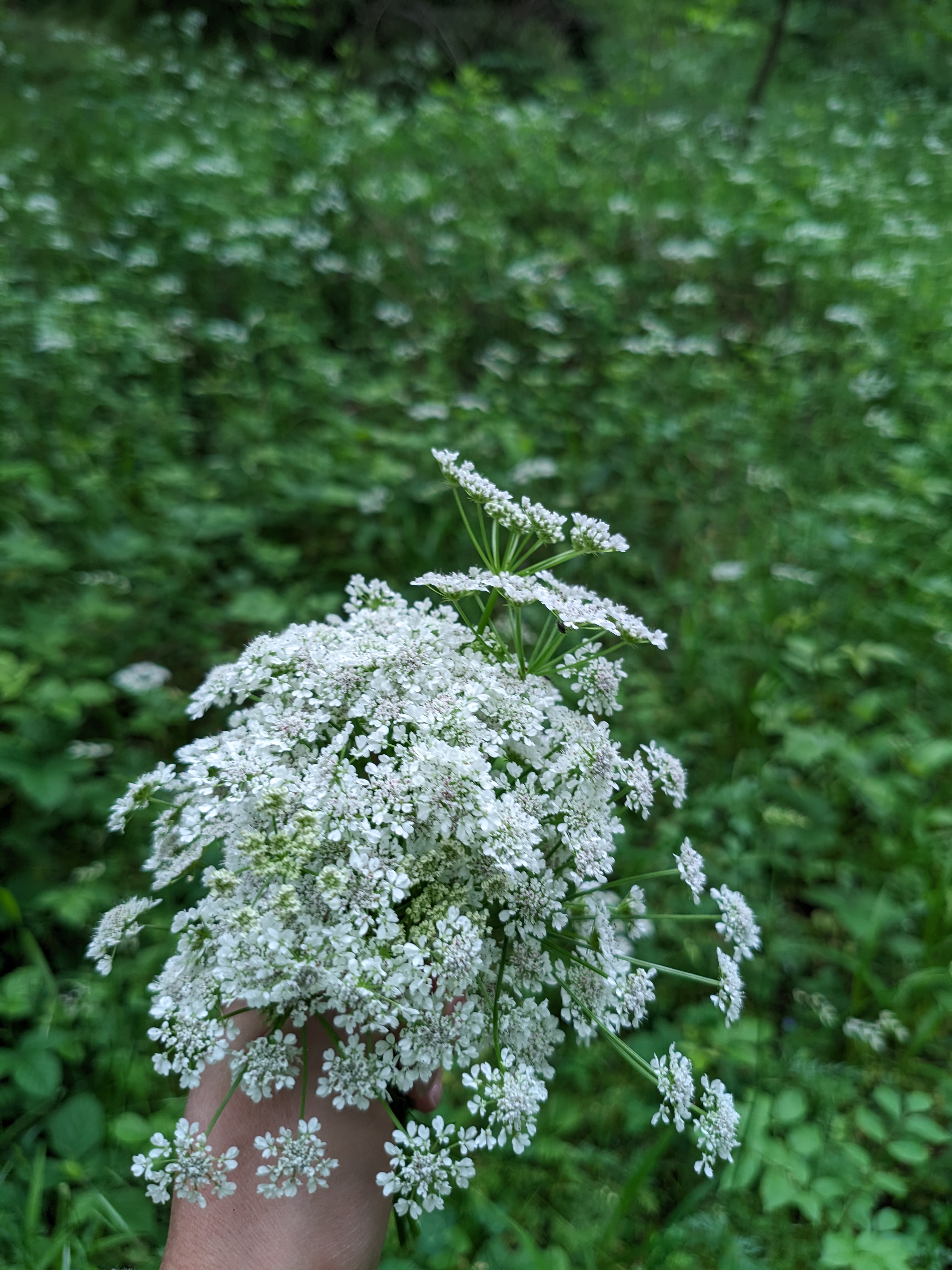 A descriptive alt text for the image